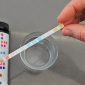 Eine Hand hält einen Wasserteststreifen mit einer Farbindikation über ein Glas Wasser, daneben liegt ein Behälter mit farbcodierten Testwerten zur Bestimmung des pH-Werts des Wassers
