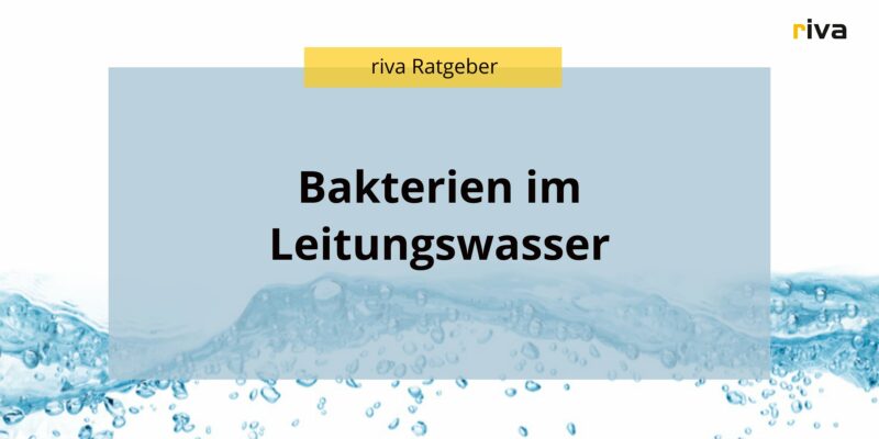 Titelbild für einen Ratgeber über Trinkwasser, auf der Grafik steht Bakterien im Trinkwasser. In dem Ratgeber geht es um die unterschiedlichen Arten von Bakterien im Leitungswasser, wie sie ins Trinkwasser gelangen und was man dagegen tun kann
