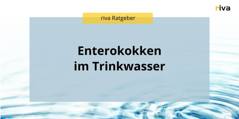 Das Bild zeigt eine Grafik mit dem Titel "Enterokokken im Trinkwasser" in schwarzem Text auf einem hellblauen Hintergrund. Oben links ist ein gelbes Banner mit der Aufschrift "riva Ratgeber" zu sehen, und das riva-Logo befindet sich in der oberen rechten Ecke. Unten im Bild ist eine Wasseroberfläche mit sanften Wellen zu sehen.