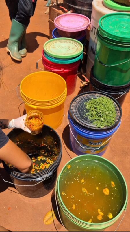 riva Wasserfilter Tansania Organica Life